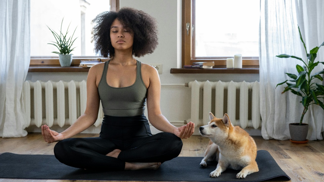 cottonbro studio/Pexels