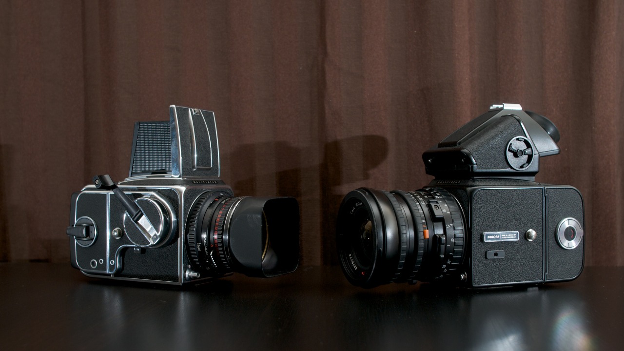 Image Credit: Travis Mortz from Roseville, us - CC BY 2.0/Wiki Commons