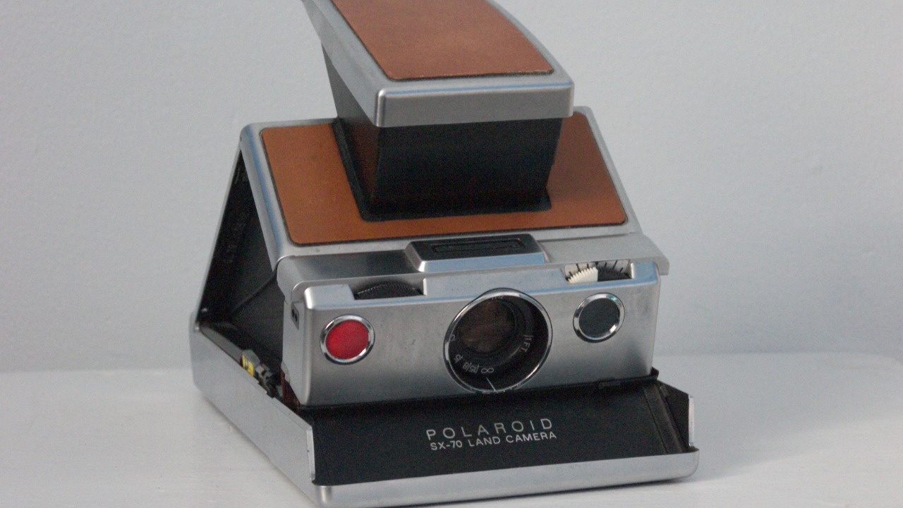 Image Credit: Terri Monahan from Wellington, FL, USA - CC BY-SA 2.0/Wiki Commons