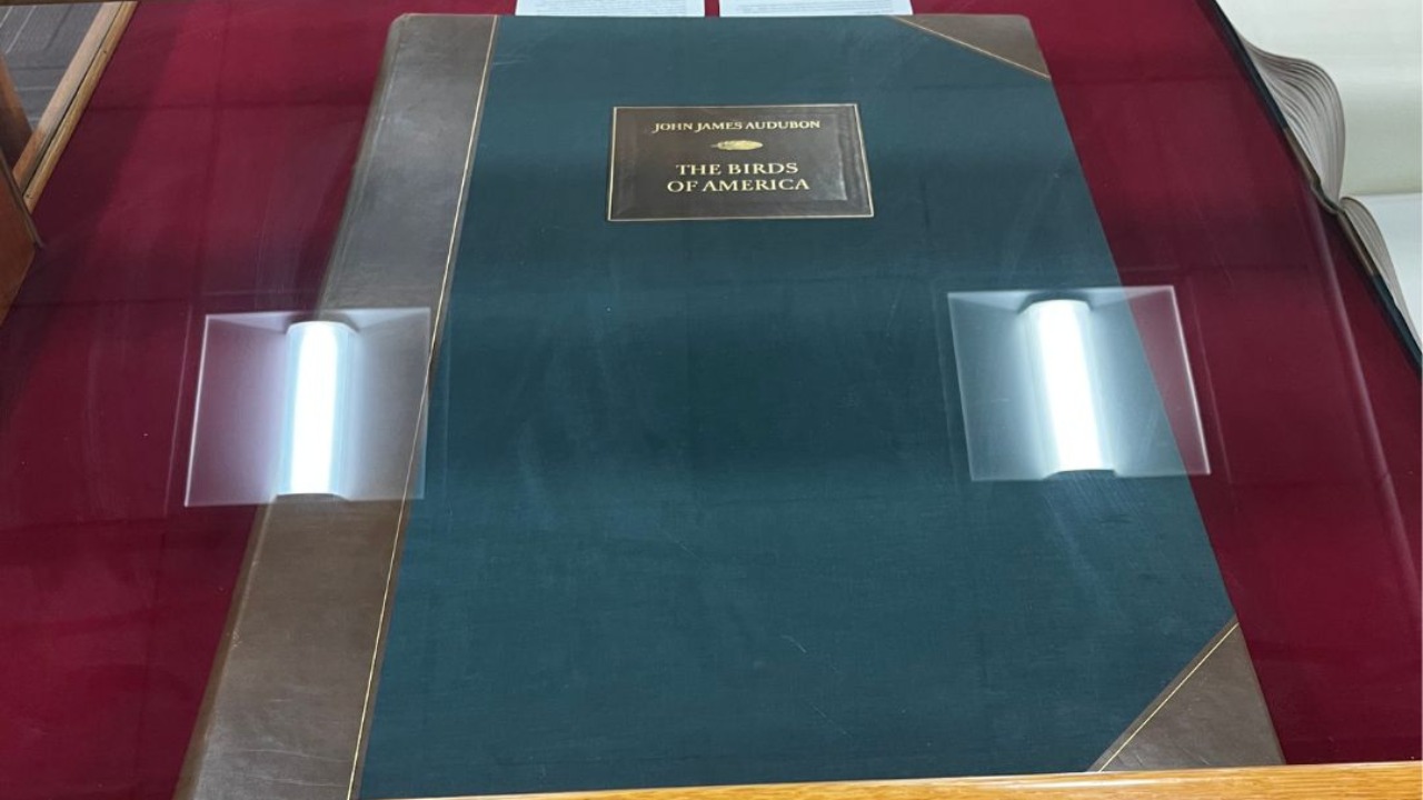 Image Credit: Gmartin122 - CC0/Wiki Commons