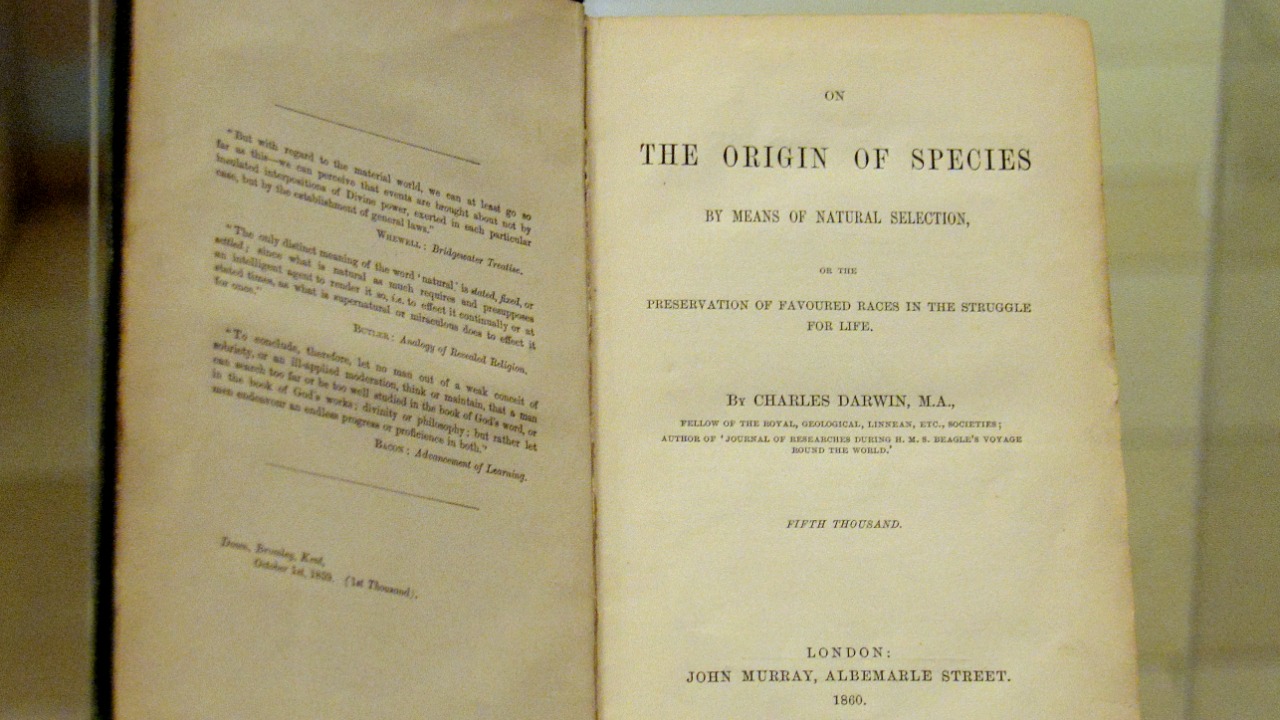 Image Credit: Osama Shukir Muhammed Amin FRCP(Glasg) - CC BY-SA 4.0/Wiki Commons