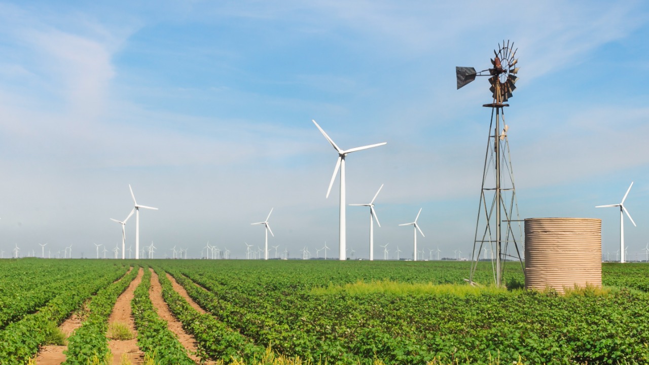 Image Credit: Matthew T Rader - CC BY-SA 4.0/Wiki Commons