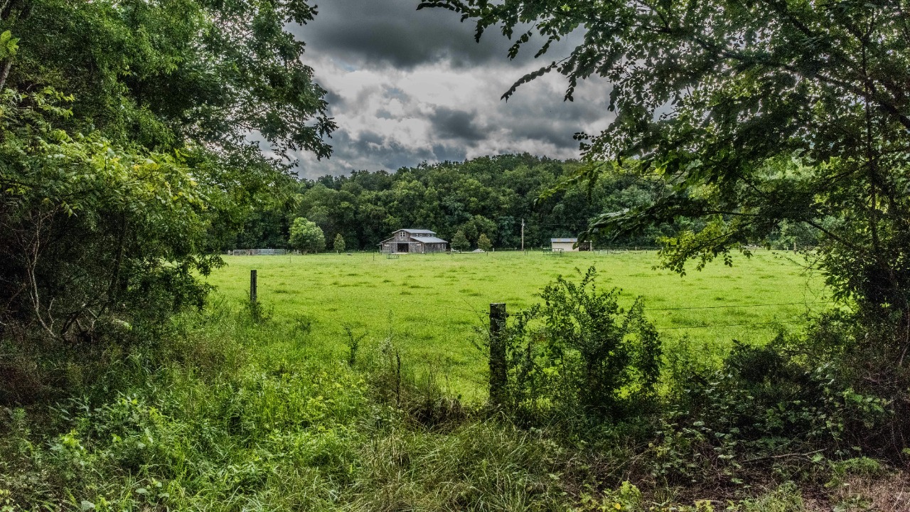 Chad Pinkston/Pexels