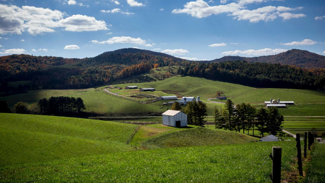 Mark Stebnicki/Pexels