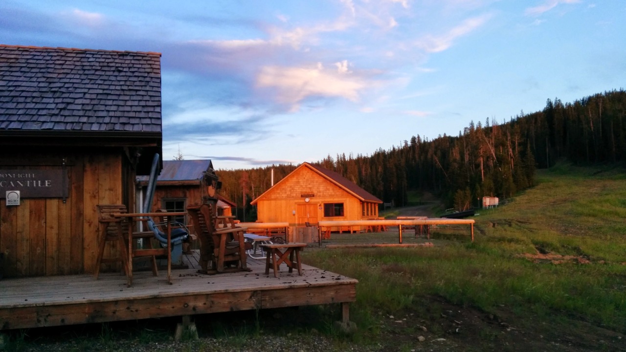 Image Credit: Peter Fisher-Duke (z… - CC BY-SA 3.0/Wiki Commons