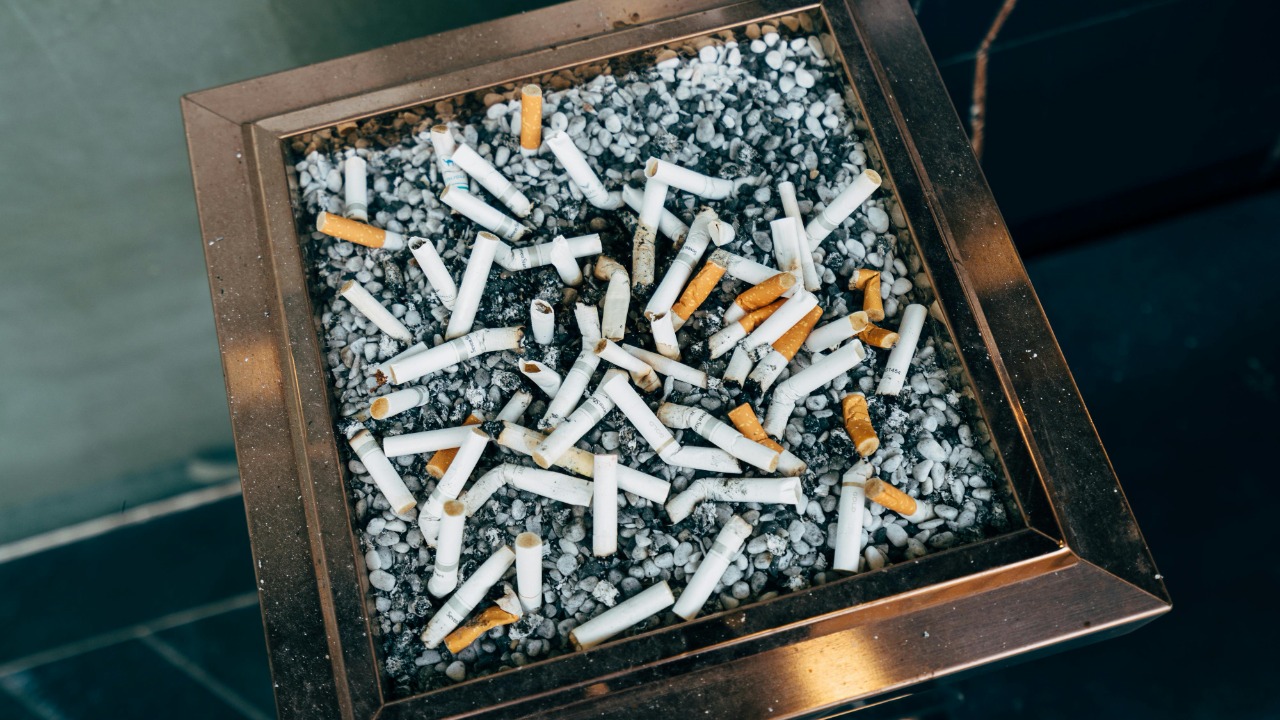 Markus Winkler/Pexels