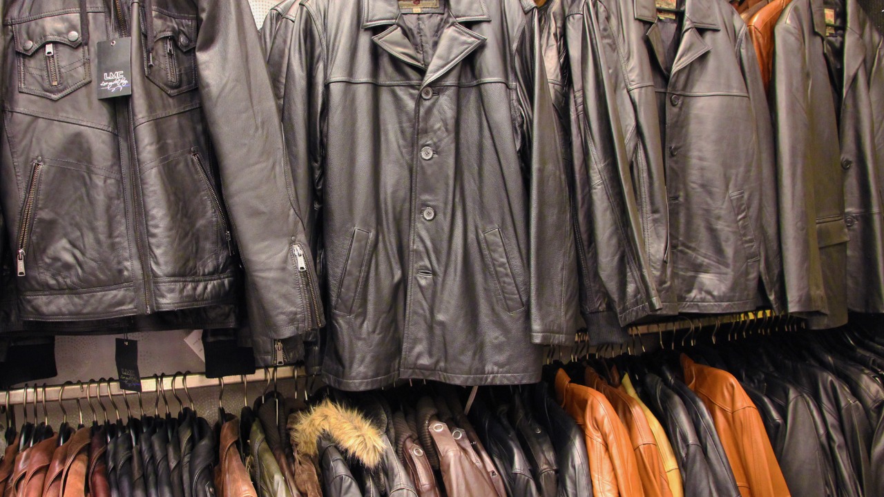 Image Credit: Sekmous - CC BY-SA 3.0/Wiki Commons