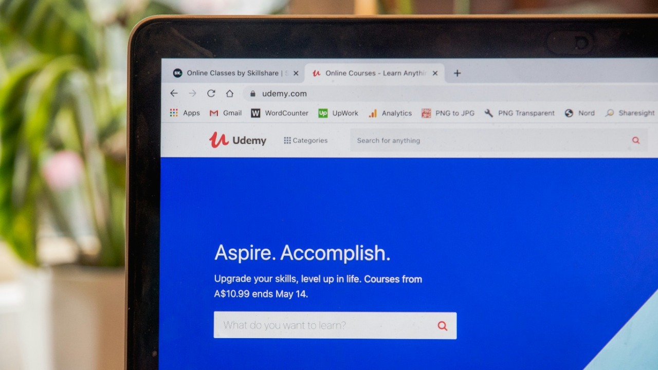 skillscouter/Unsplash
