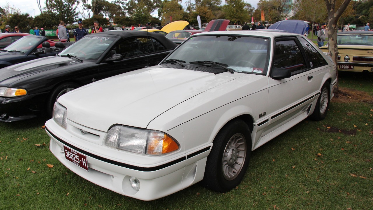 Image Credit: Sicnag - CC BY 2.0/Wiki Commons