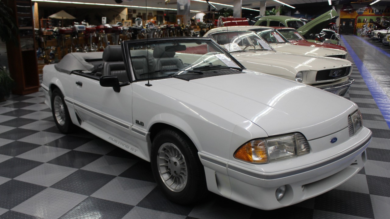 Image Credit: Michael Rivera - CC BY-SA 4.0/Wiki Commons