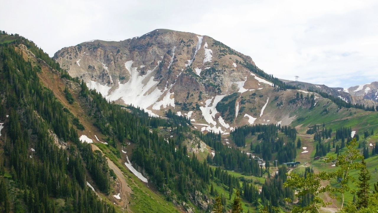 Image Credit: Nate Grigg - CC BY 2.0/Wiki Commons