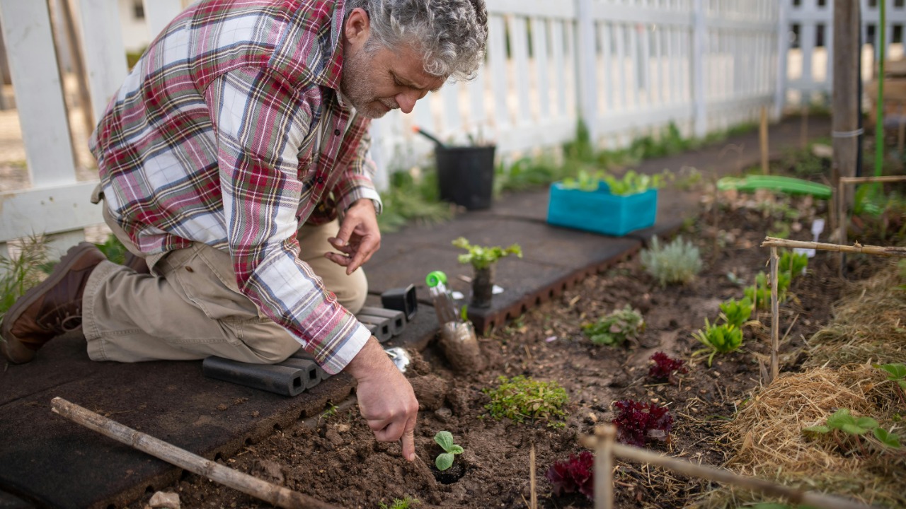 Kampus Production/Pexels