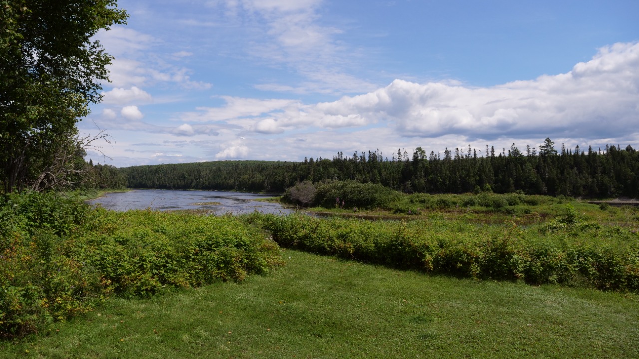 Image Credit: ThinkFact - CC0/Wiki Commons