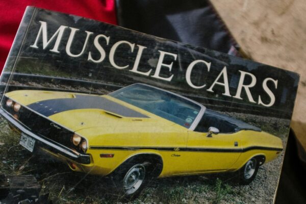 cottonbro studio/Pexels