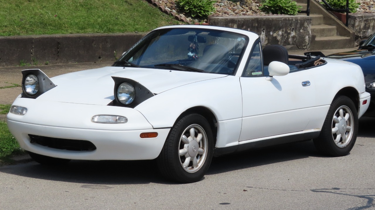 Image Credit: MercurySable99 - CC BY-SA 4.0/Wiki Commons