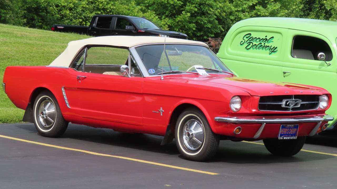 Image Credit: MercurySable99 – CC BY-SA 4.0/Wiki Commons
