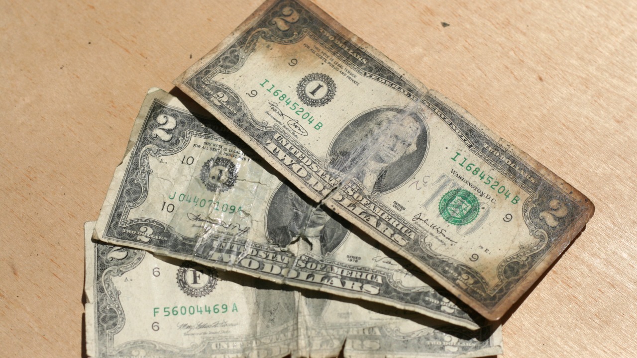 Image Credit: Ildar Sagdejev (Specious) - CC BY-SA 4.0/Wiki Commons