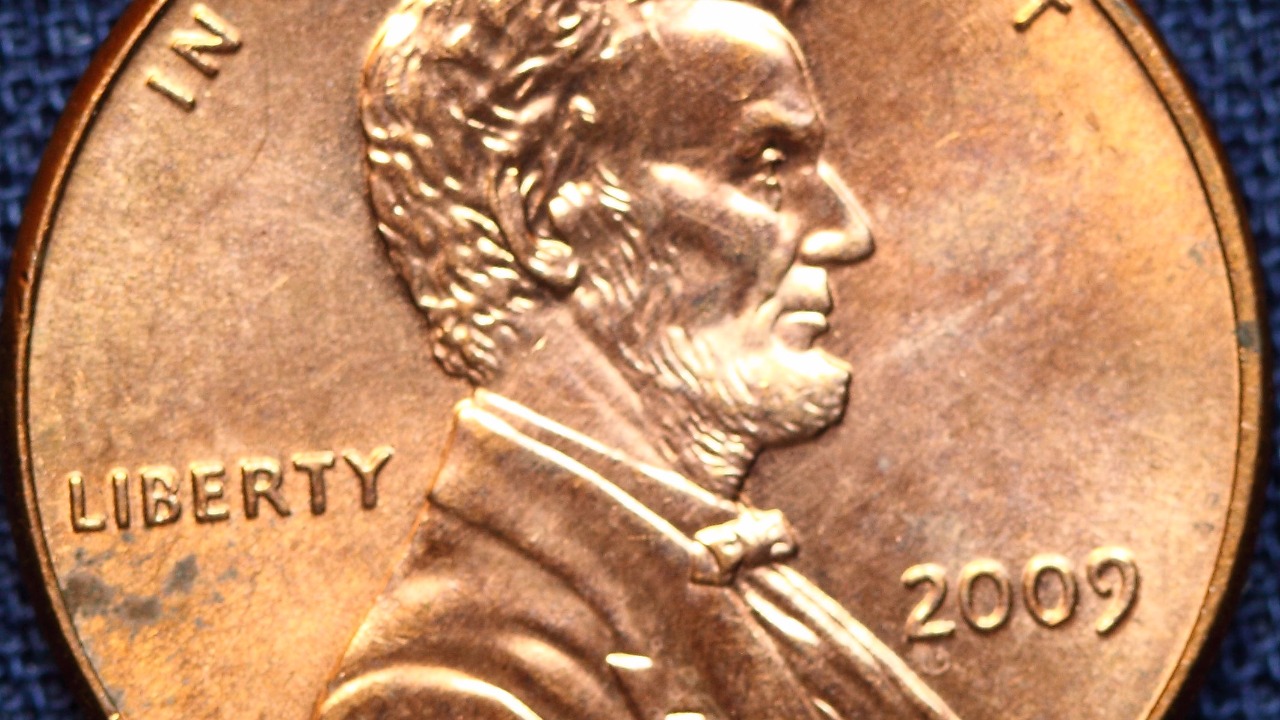 Image Credit: Mark Morgan from Trinidad - CC BY 2.0/Wiki Commons