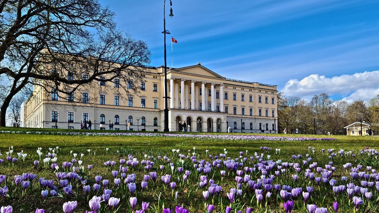 Image Credit: Geir Hval (www.MacWhale.eu) - CC BY-SA 4.0/Wiki Commons