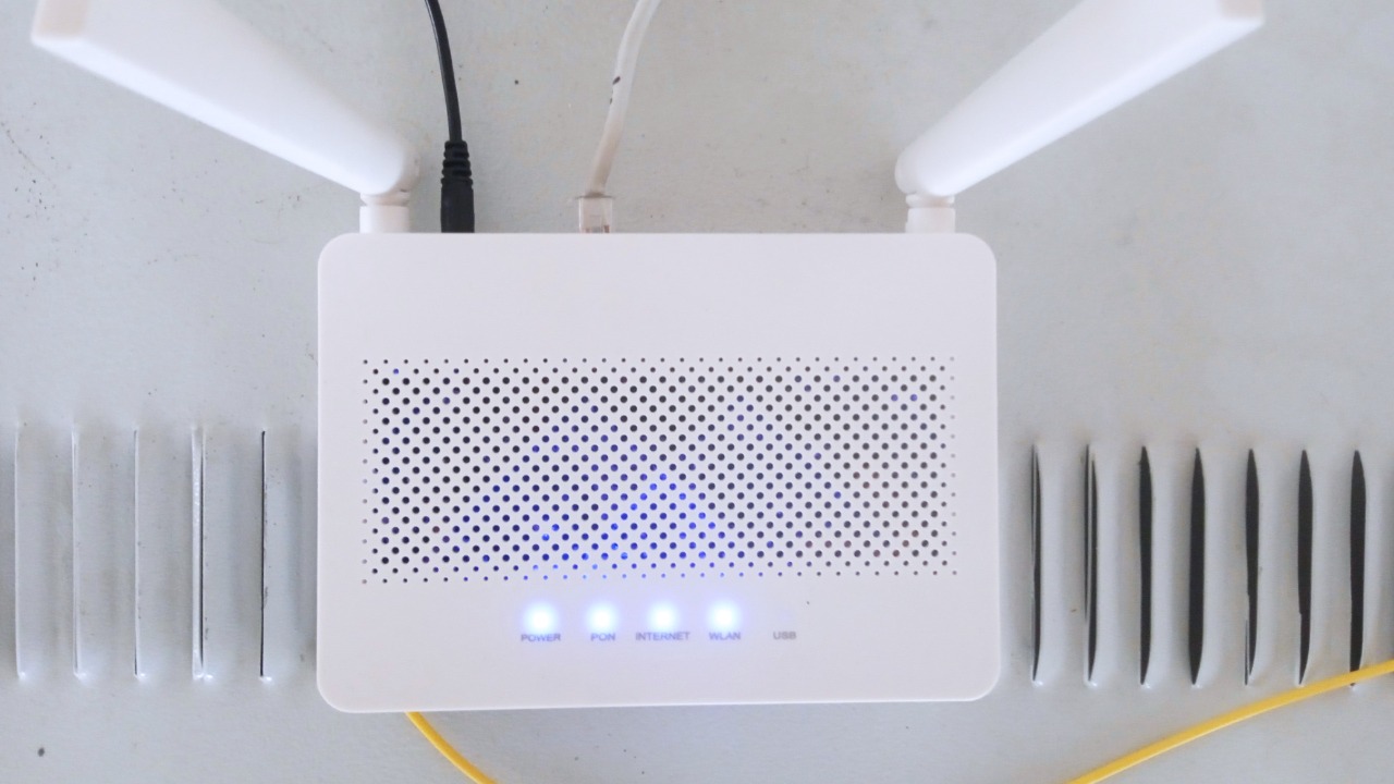 Image Credit: Solijon Solayev - CC BY-SA 4.0/Wiki Commons