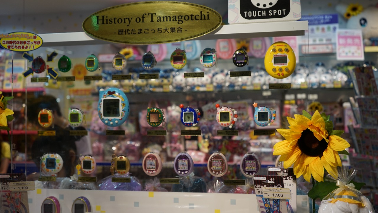 Image Credit: Antonio Rubio - CC BY 2.0/Wiki Commons