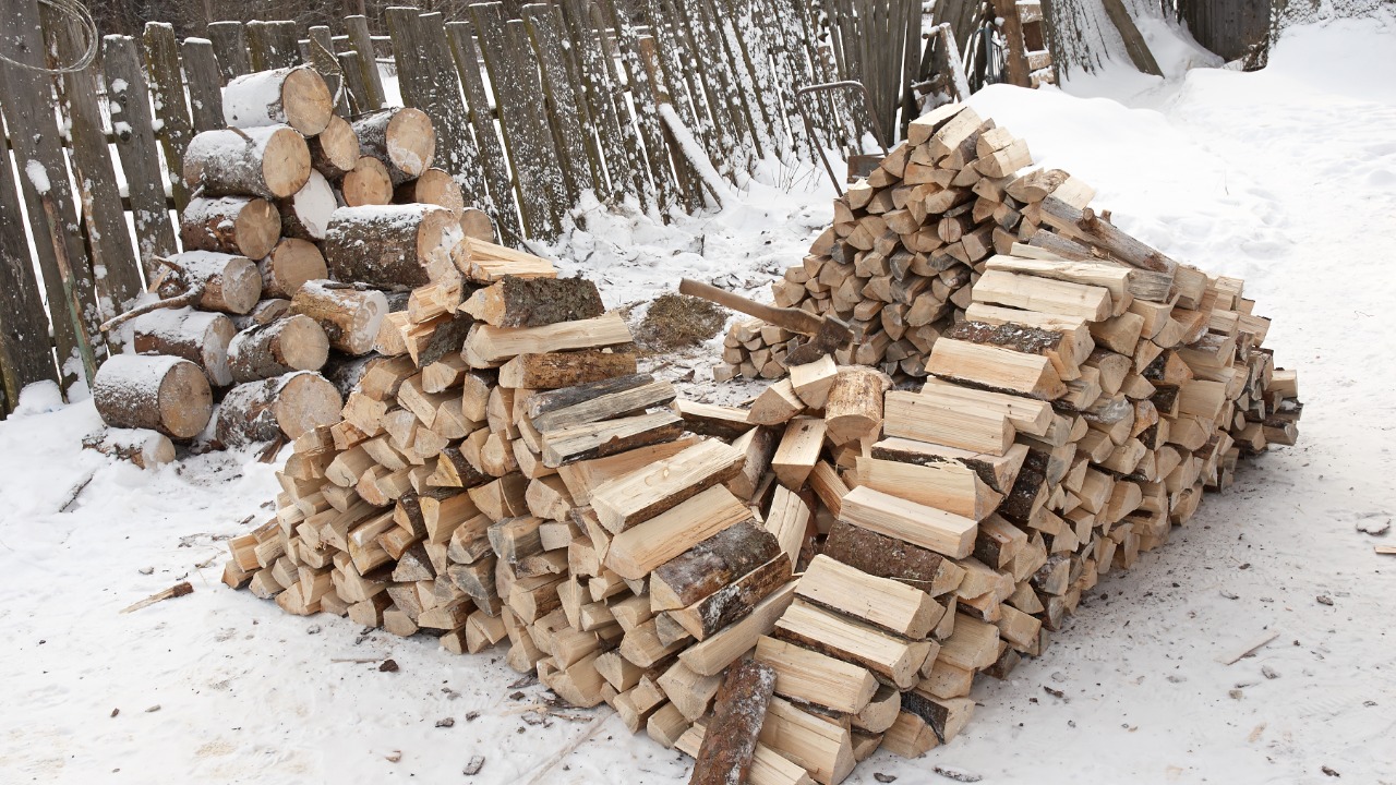 Image Credit: Dmitry Makeev - CC BY-SA 4.0/Wiki Commons