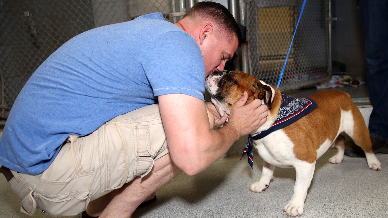 Image Credit: Sgt. Valerie Eppler - Public domain/Wiki Commons