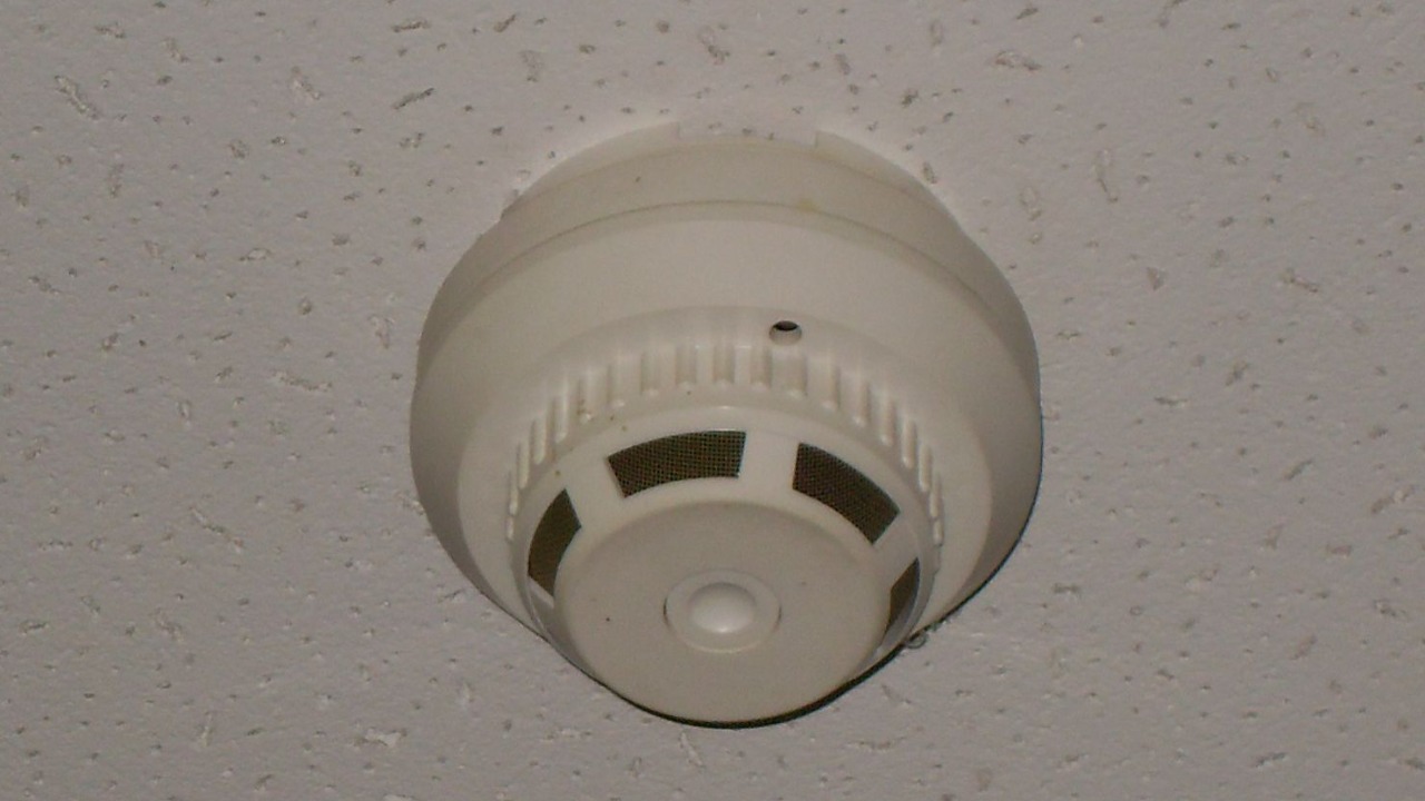 Image Credit: Georg Pik - Public domain/Wiki Commons