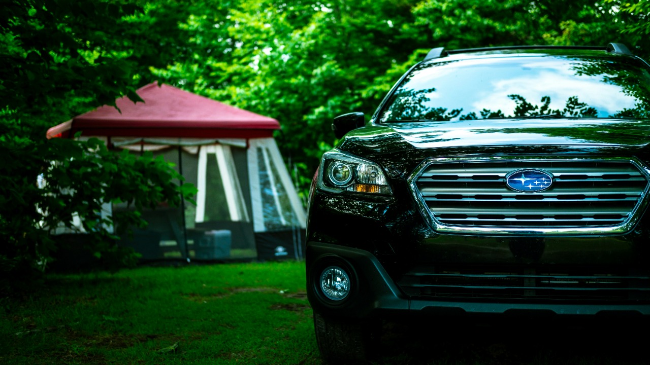 timberfoster/Unsplash