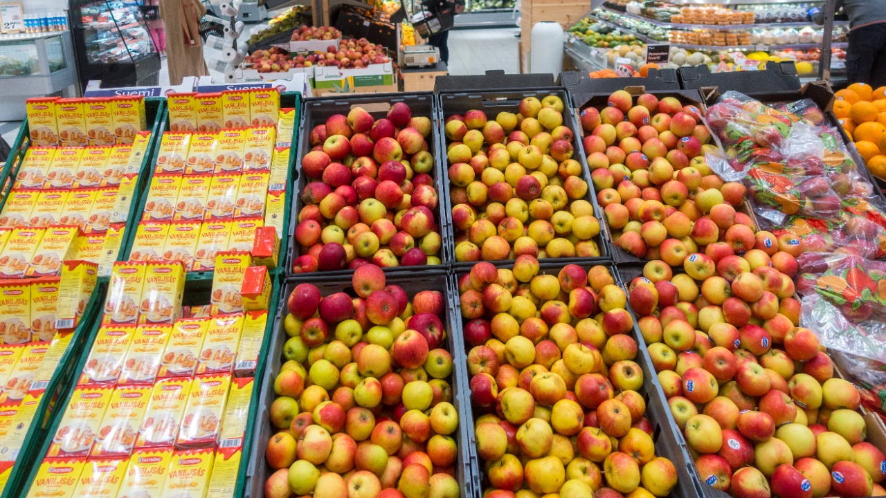 Image Credit: Frankie Fouganthin - CC BY-SA 4.0/Wiki Commons