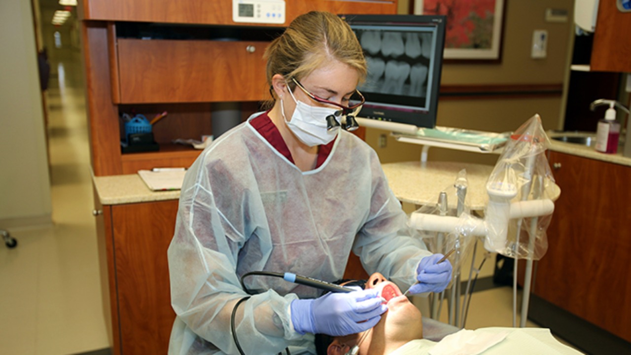 Image Credit: Jeff Crawley - CC BY 2.0/Wiki Commons