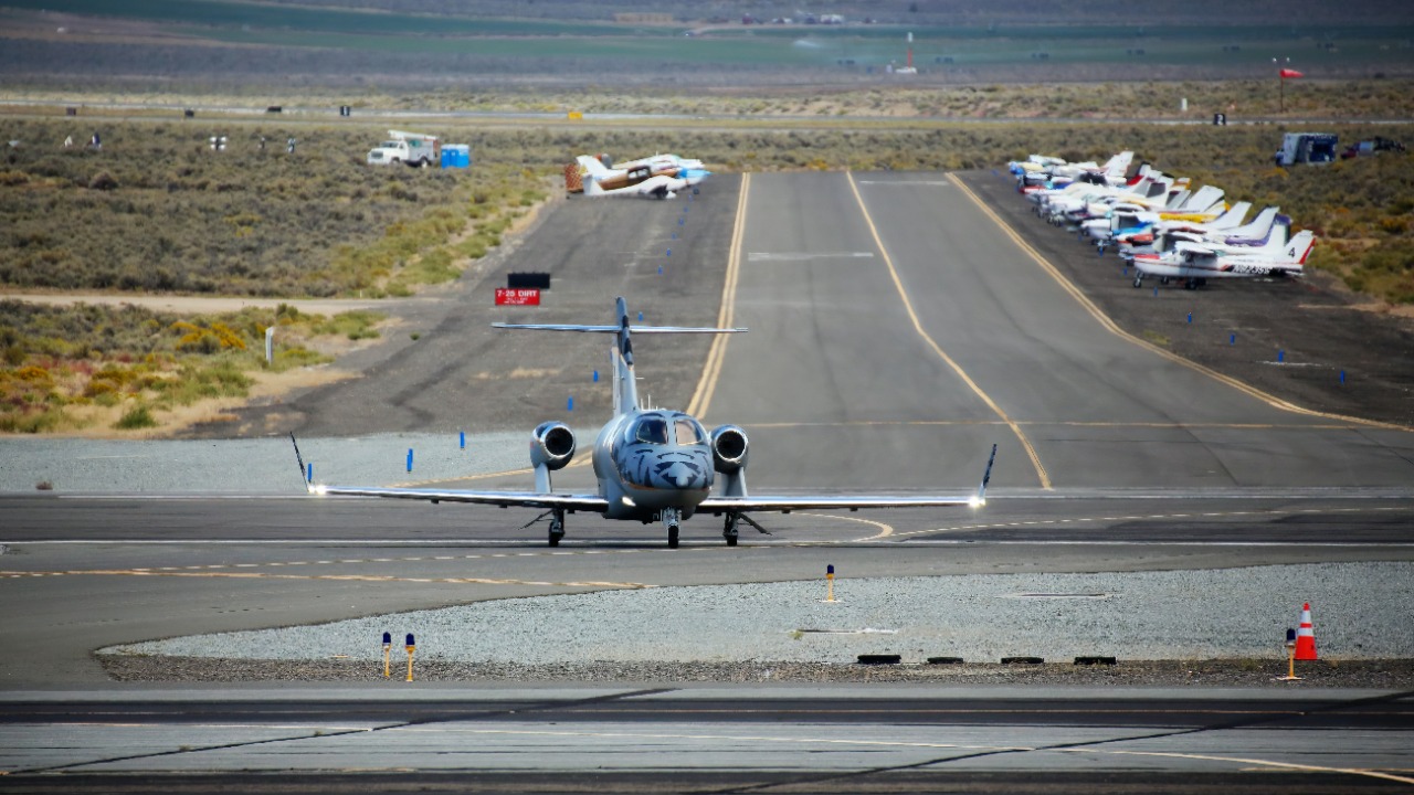 bullterriere/Unsplash