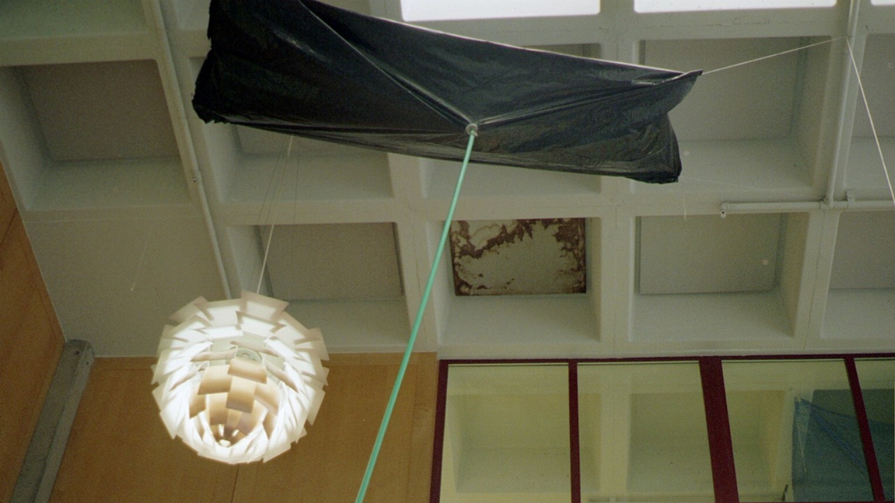 Image Credit: Mike Fernwood from Santa Cruz, California, United States - CC BY-SA 2.0/Wiki Commons