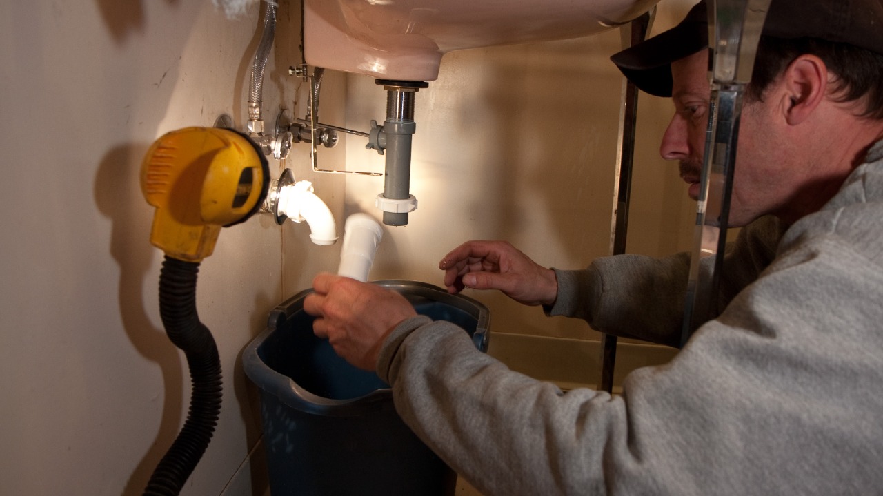 Image Credit: ocean yamaha - CC BY 2.0/Wiki Commons