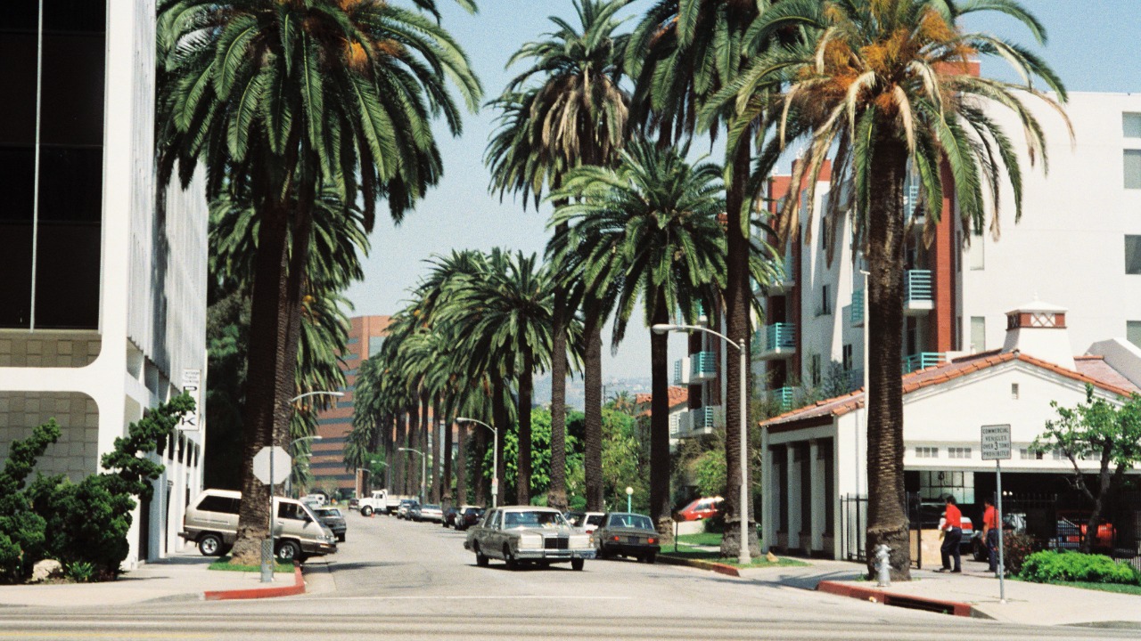 Image Credit: Morn the Gorn - CC BY-SA 3.0/Wiki Commons