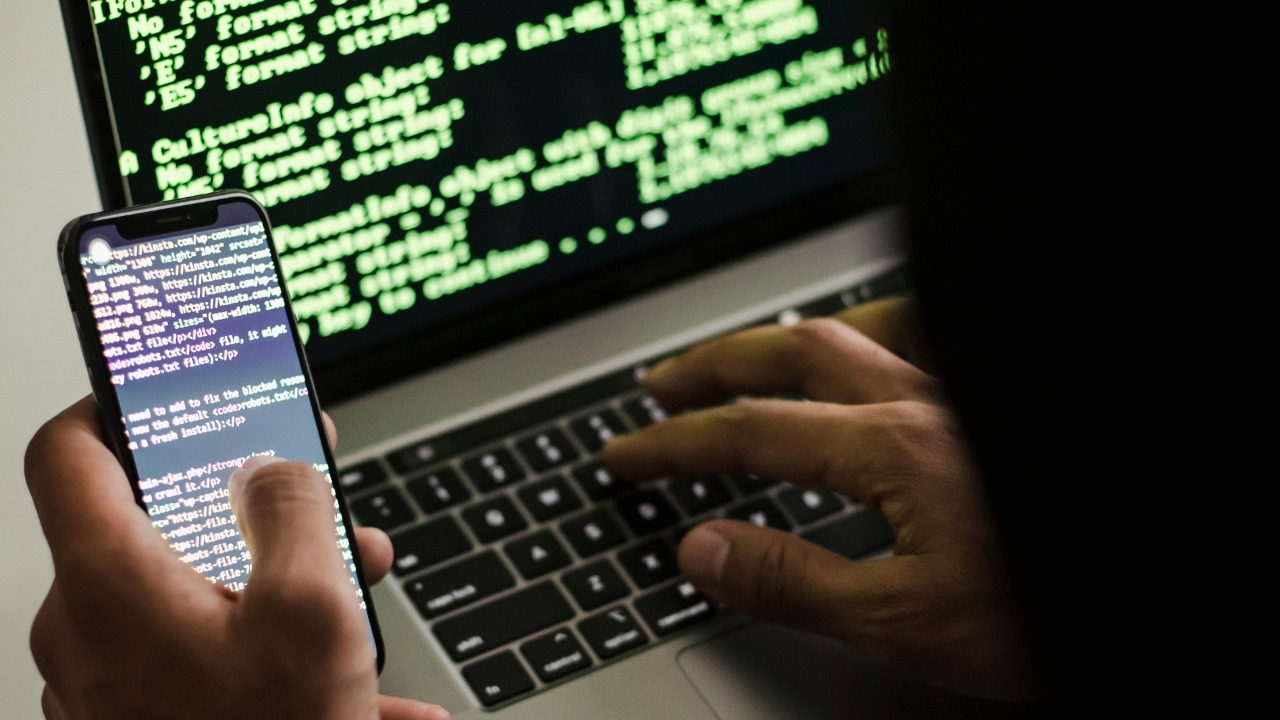 Sora Shimazaki/Pexels