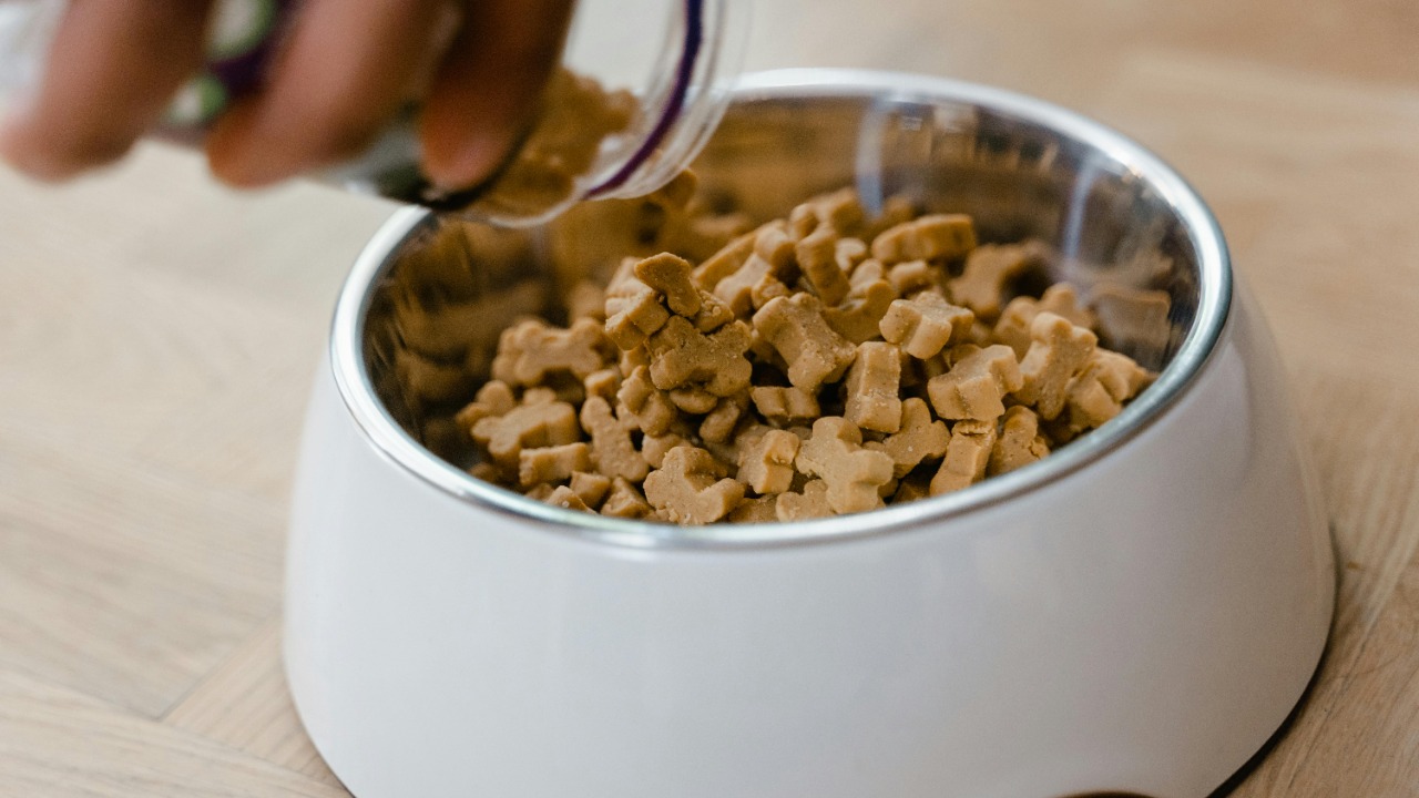 MART  PRODUCTION/Pexels