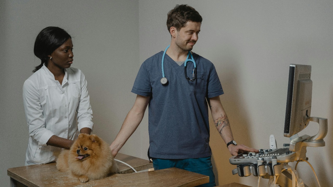 Tima Miroshnichenko/Pexels