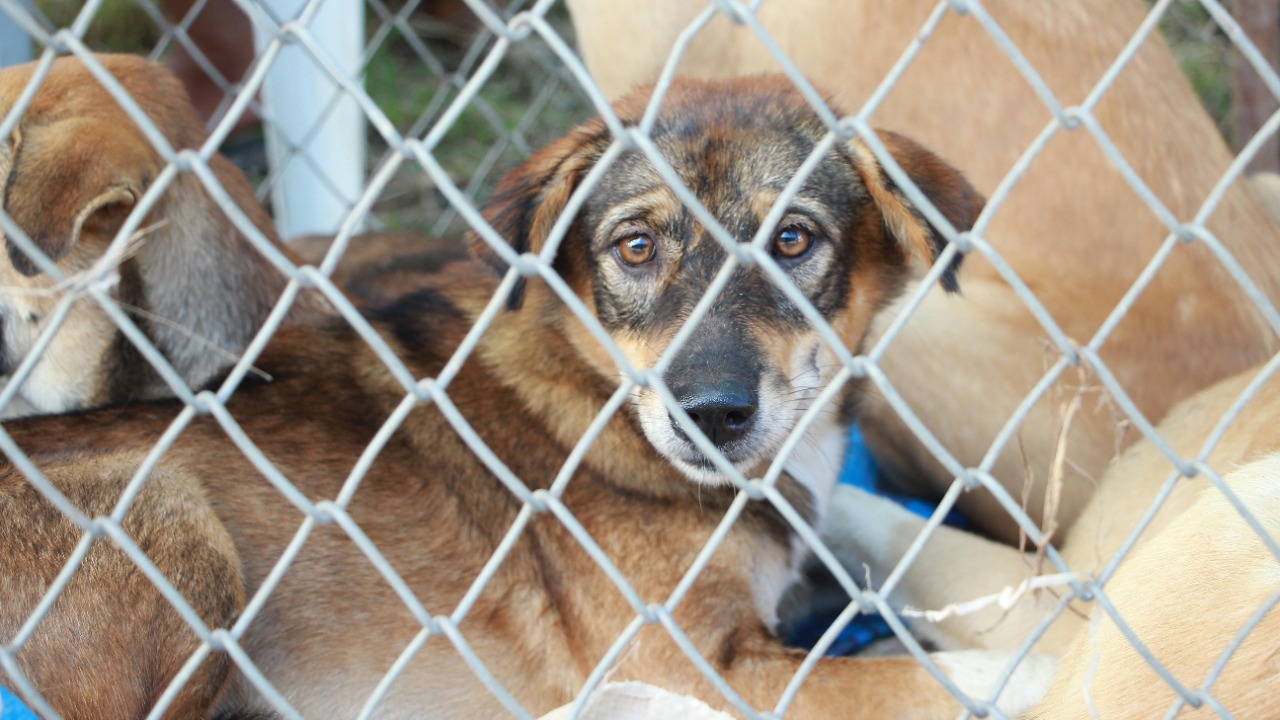 Pranidchakan Boonrom/Pexels