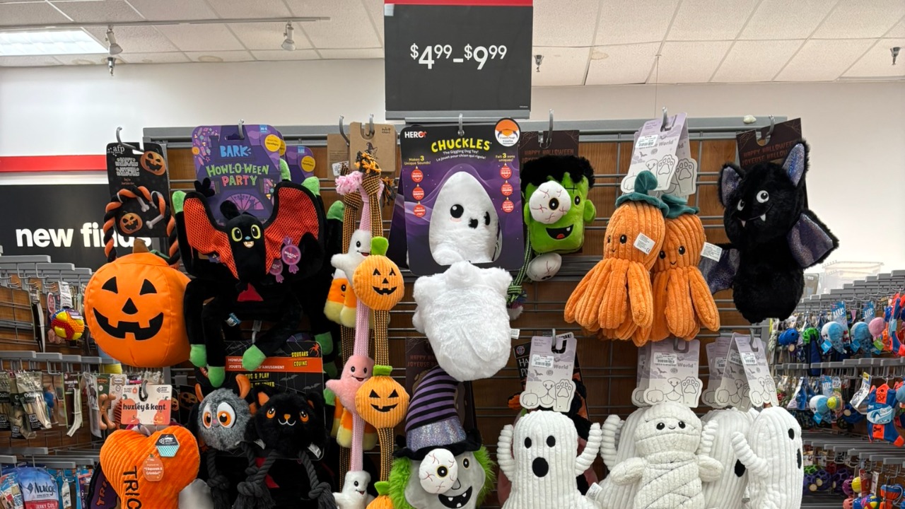 Image Credit: Mjrmtg - CC BY 4.0/Wiki Commons