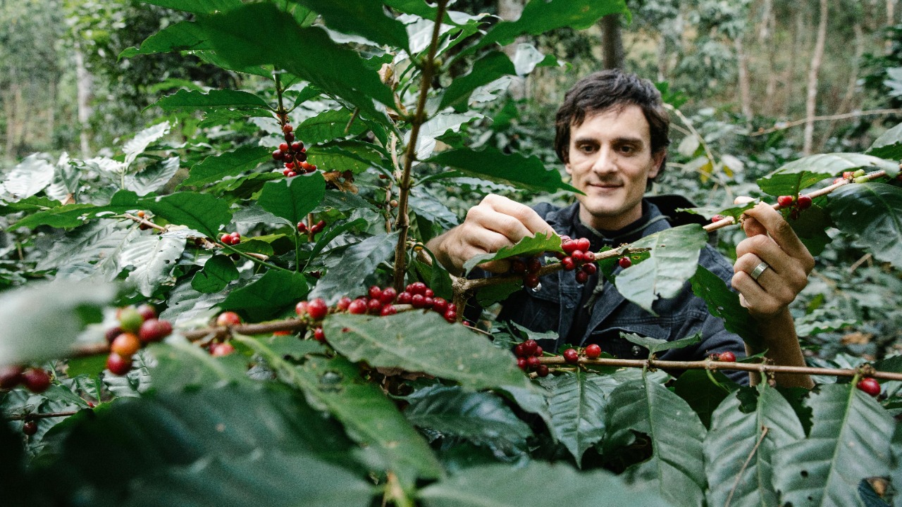 Michael Burrows/Pexels