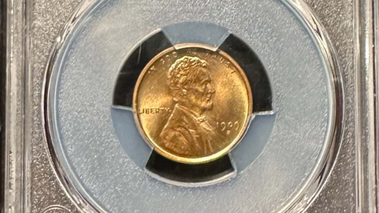 Image Credit: Bruxton - Public domain/Wiki Commons