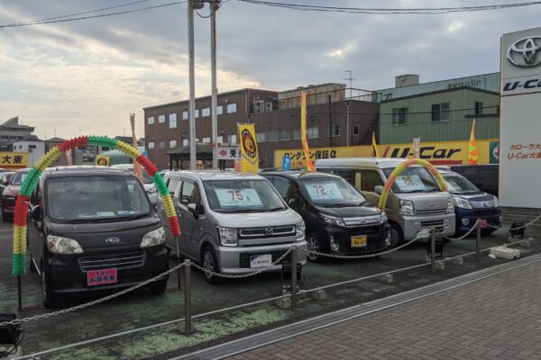 Image Credit: Mr.ちゅらさん - CC BY-SA 4.0/Wiki Commons