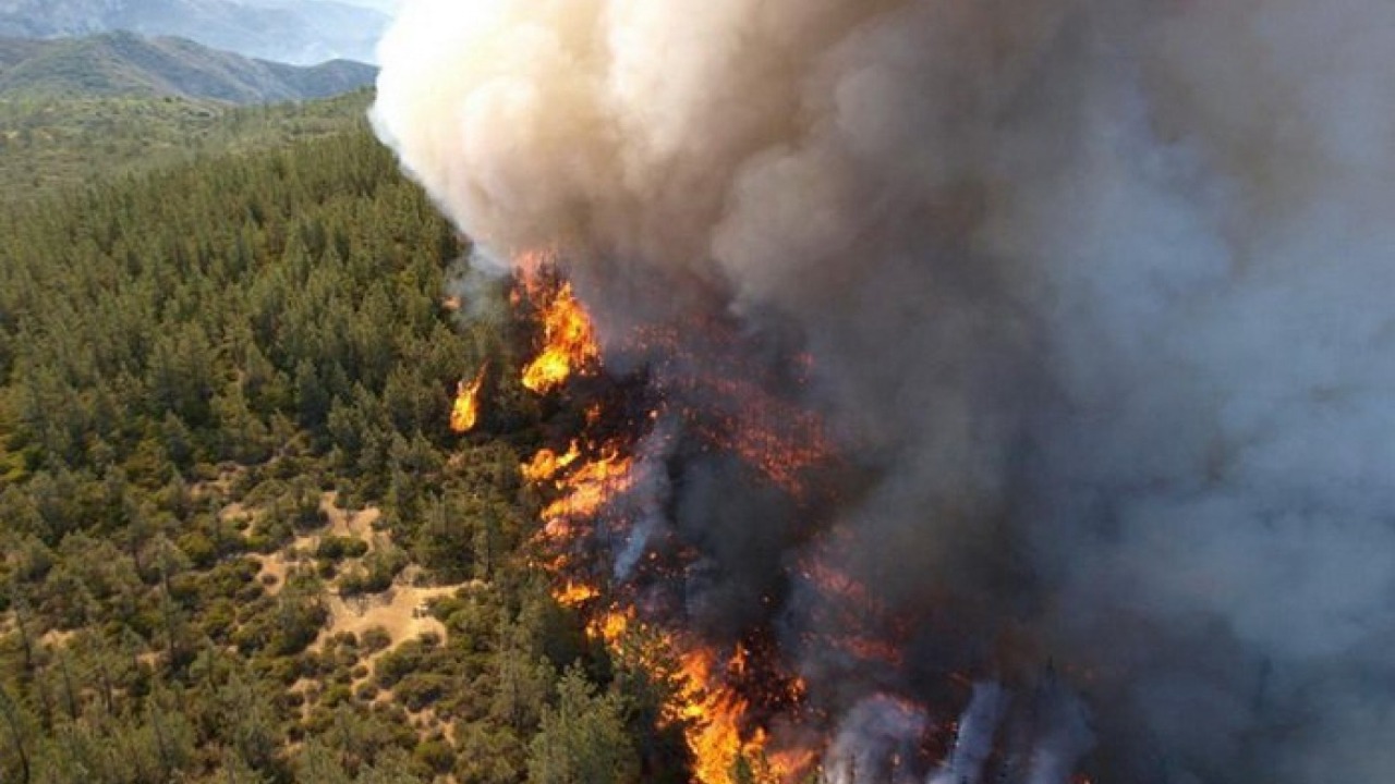 Image Credit: Salam2009 - CC BY-SA 4.0/Wiki Commons