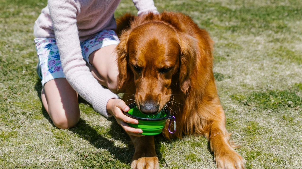 RDNE Stock project/Pexels