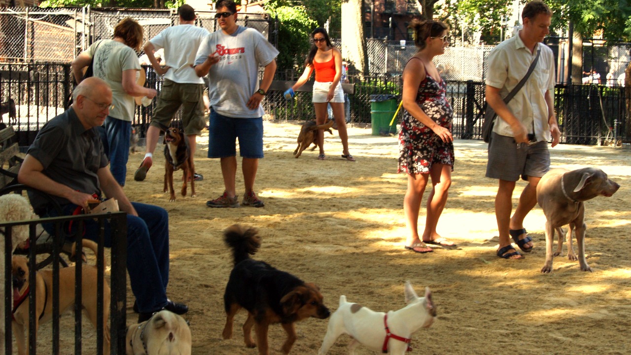 Image Credit: David Shankbone - CC BY-SA 3.0/Wiki Commons