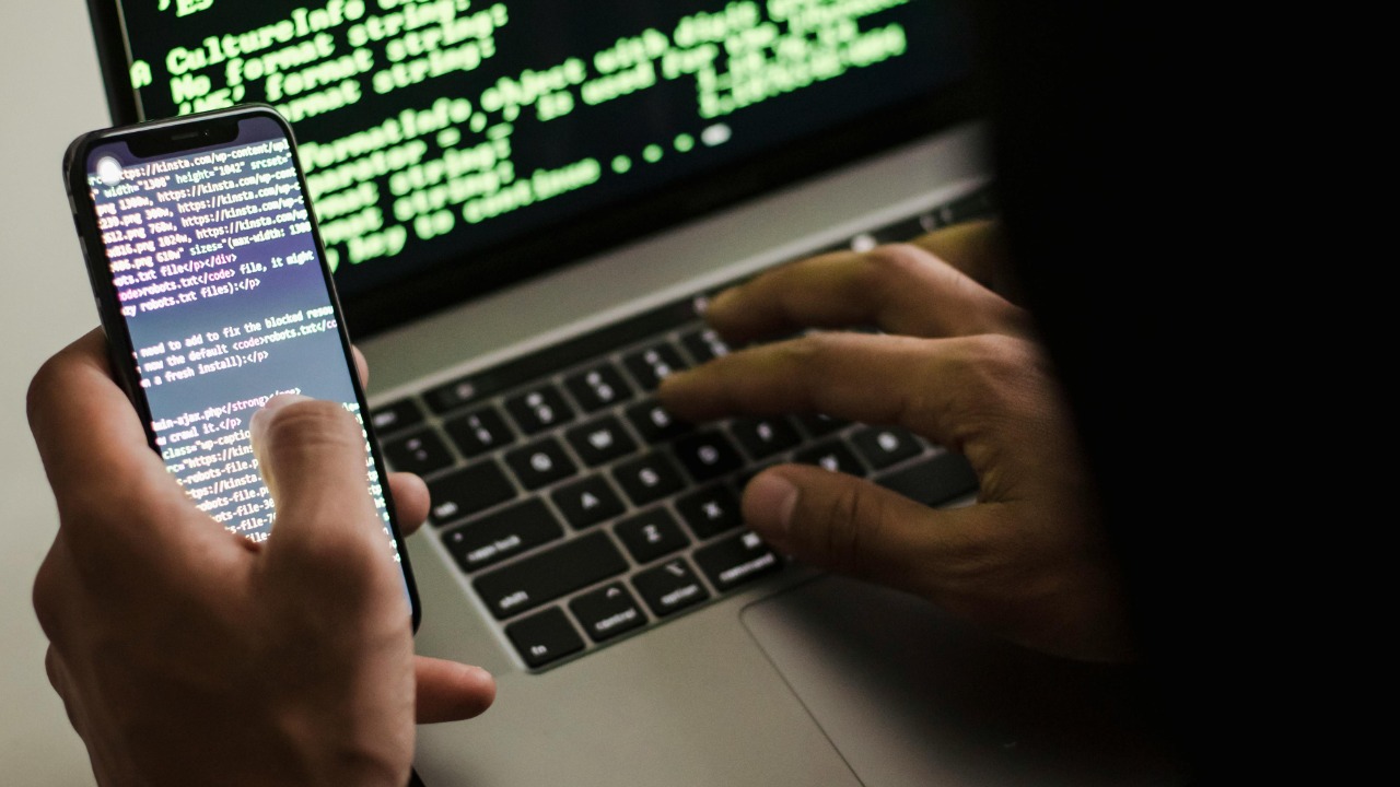 Sora Shimazaki/Pexels