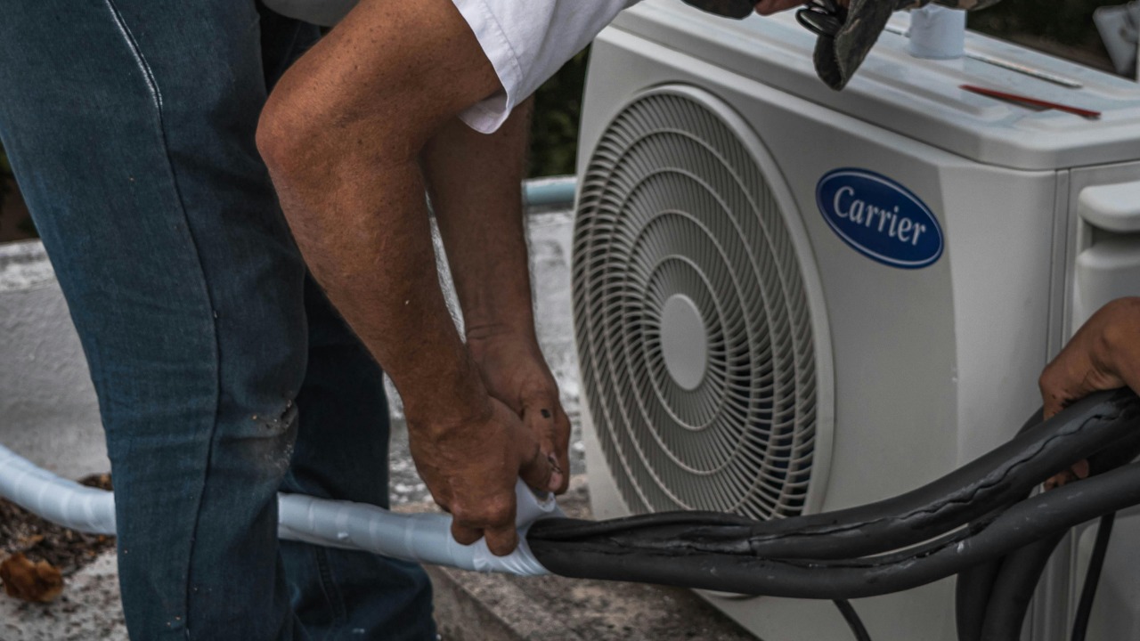 José Andrés  Pacheco Cortes/Pexels