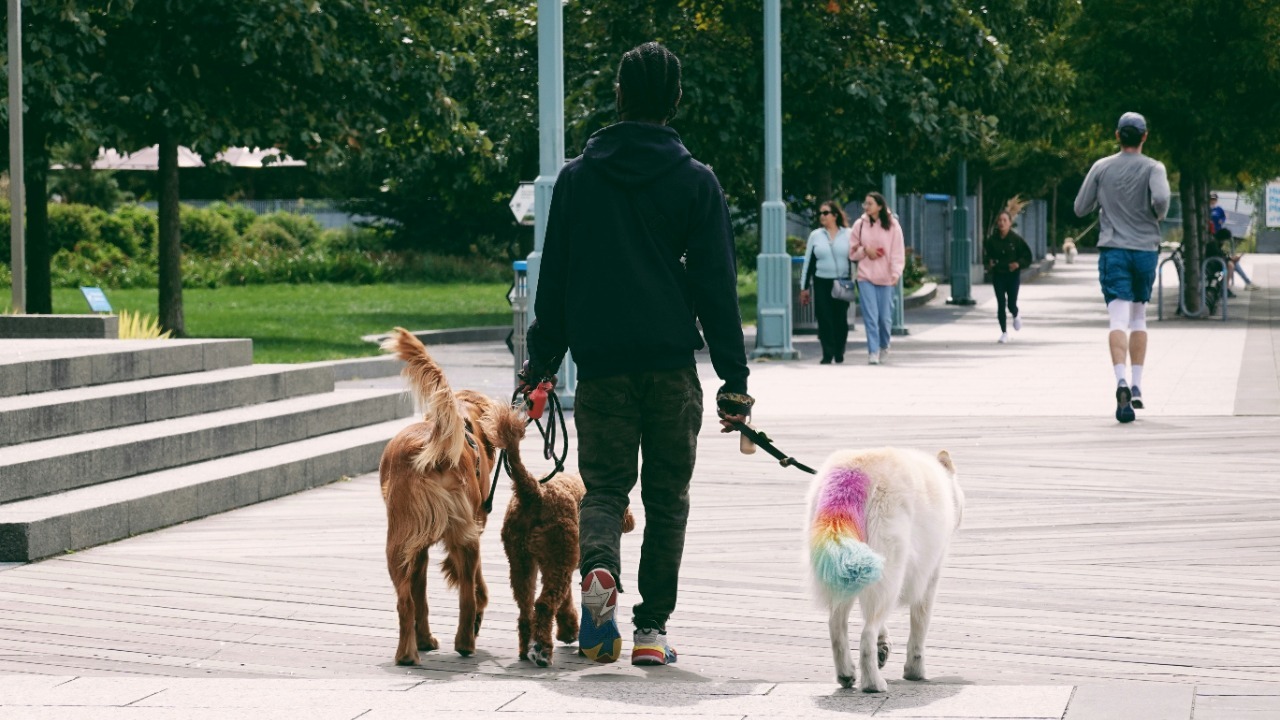 marsha_reid/Unsplash
