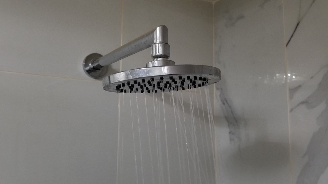 Image Credit: Prácticas Intraescolares – CC BY-SA 4.0/Wiki Commons
